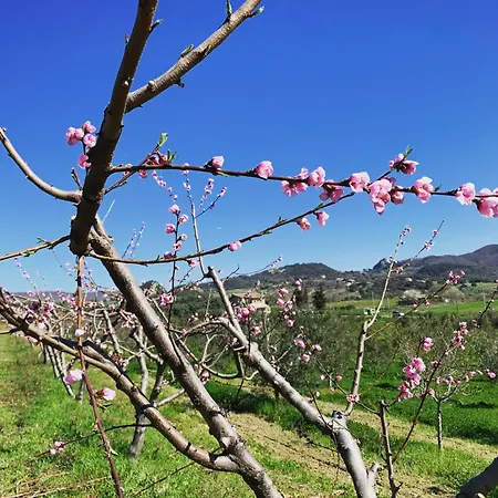 Casale Sasso *