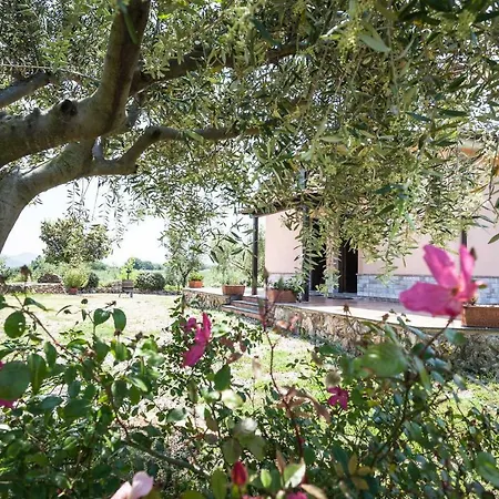 Casale Sasso *