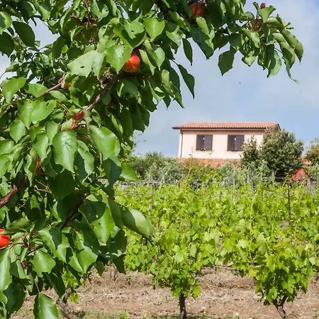 Landhuis Casale Sasso