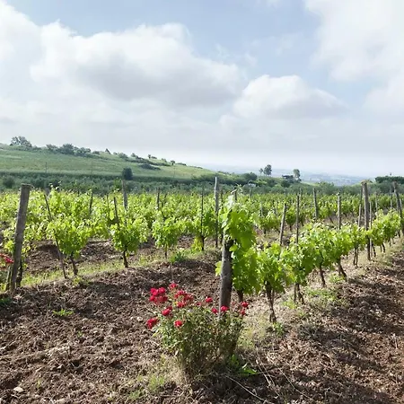 Casale Sasso Cerveteri
